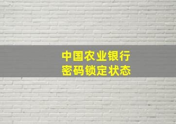 中国农业银行 密码锁定状态